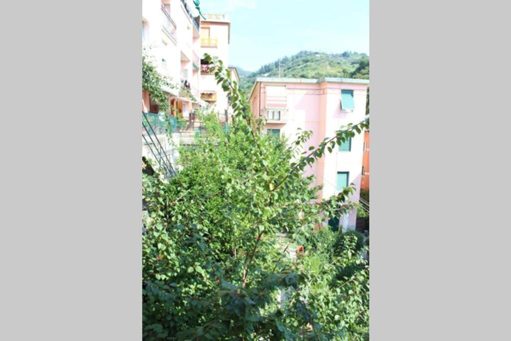 Apartamento Ca Du Rocco - CITRA 011019-LT-0343 Monterosso al Mare Exterior foto